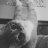 aslotusflowers_