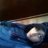 berenice.pavon